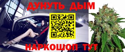 a pvp Бердск