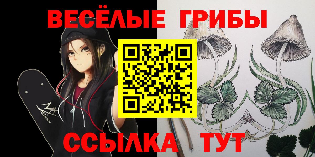 Псилоцибиновые грибы мицелий  Вход с VPN  Александров 
