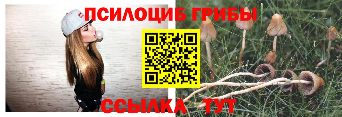 Галлюциногенные грибы MAGIC MUSHROOMS Александров